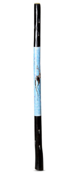 Brendan Porteous Didgeridoo (JW553)